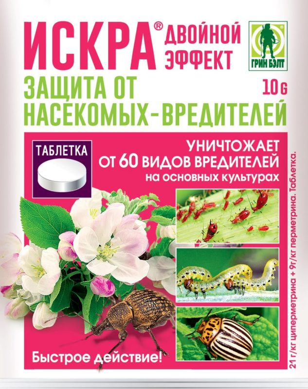 Скручивание листьев груши: причины, что делать и чем лечить