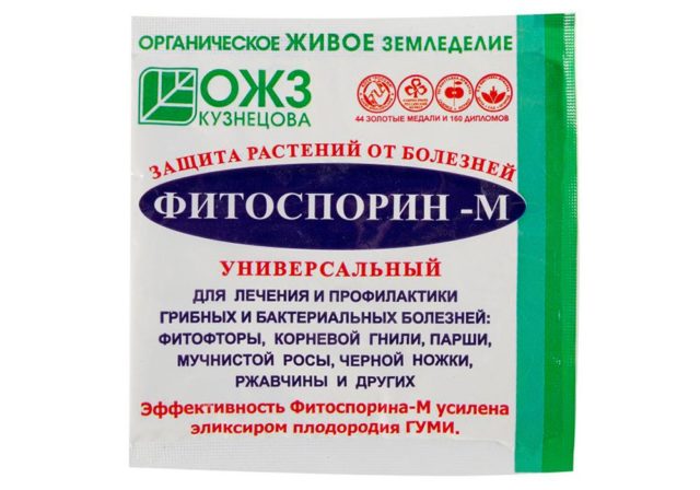 Скручивание листьев груши: причины, что делать и чем лечить