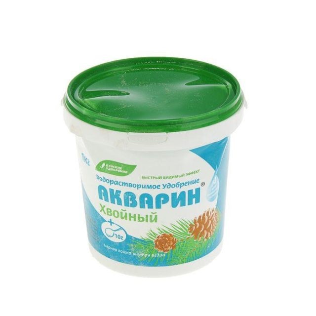 Можжевельник горизонтальный Андорра Компакта: посадка и уход