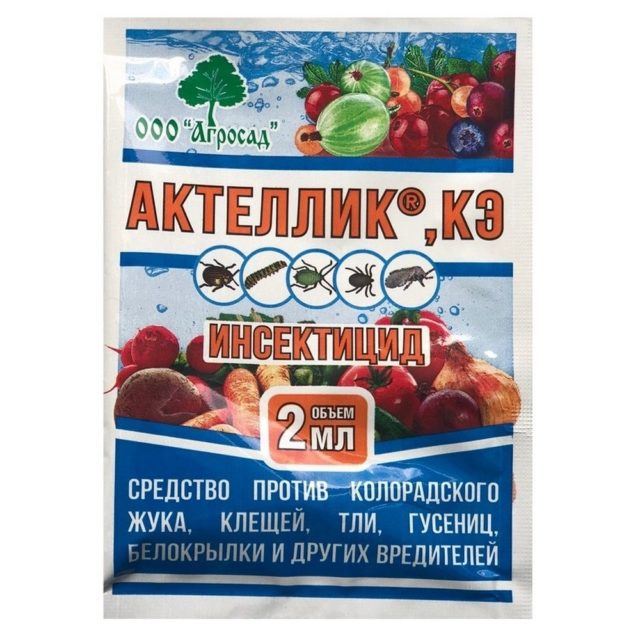 Инсектицид Актеллик, КЭ: инструкция по применению, когда обрабатывать, аналоги, отзывы