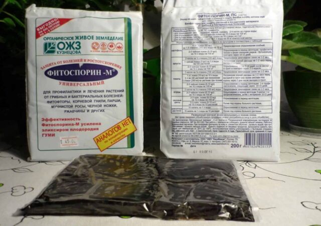 Чем обработать клубнику от серой гнили: в период плодоношения, осенью