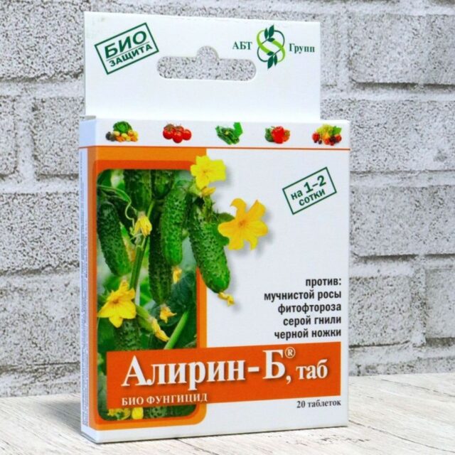 Чем обработать клубнику от серой гнили: в период плодоношения, осенью