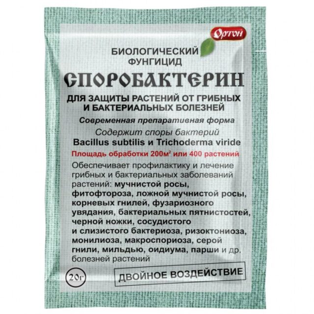 Чем обработать клубнику от серой гнили: в период плодоношения, осенью