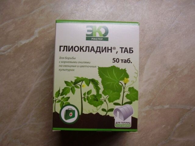 Чем обработать клубнику от серой гнили: в период плодоношения, осенью
