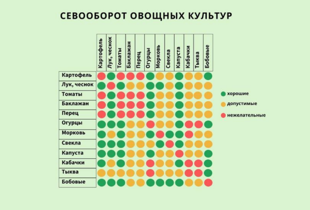 Как правильно распланировать огород: пошаговое руководство